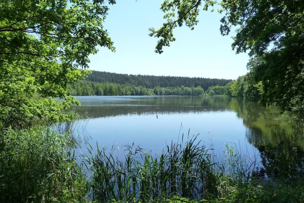 Ferienwohnung Bradsch Ilmenau Chambre photo