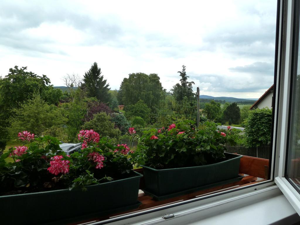 Ferienwohnung Bradsch Ilmenau Extérieur photo